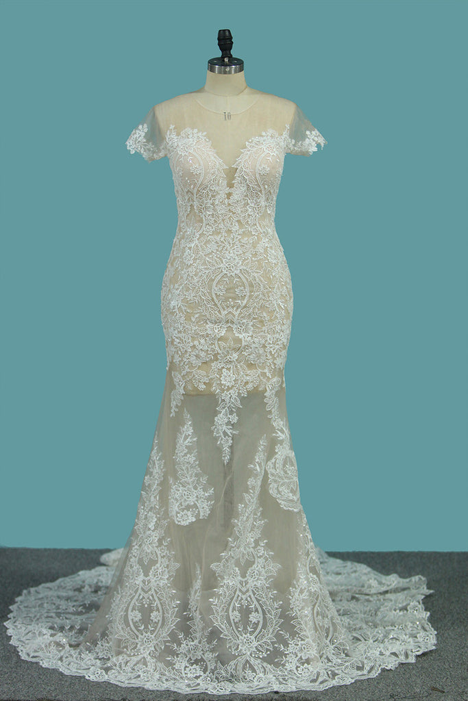 Scoop Short Sleeve Mermaid Tulle Lace Appliques Wedding Dresses OKE76