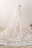 3M Long Embroidered Lace Cathedral Veils for Wedding WV11