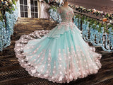 Princess Ball Gown Flower Appliques Prom Dresses,Quinceanera Dresses OKE65