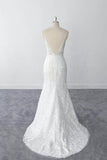 Sexy Sheath Lace Bridal Gowns Spaghetti Straps Lace Wedding Dresses OKU92