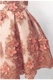 Cute A-line Deep-V Lace Appliques Short Homecoming Dress OKA74