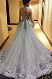 Ball GowN Prom Dresse, Princess Prom Dresses, Long Sleeves Prom Dress, Tulle Evening Dress, Gray Evening Dresses, Long Formal Dresses