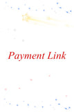 Payment Link-2