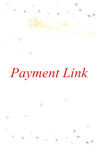 Payment Link-2