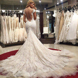 Sexy Mermaid Lace Wedding Dress new Cap Sleeves Appliques Bridal Gowns OK106