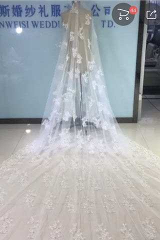 Ivory Lace Appliqued Tulle Wedding Veil Bridal Veils WV22